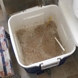 Post: Optimising Mash Temperature