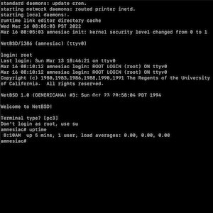 Post: NetBSD/i386 from 1.0 to present