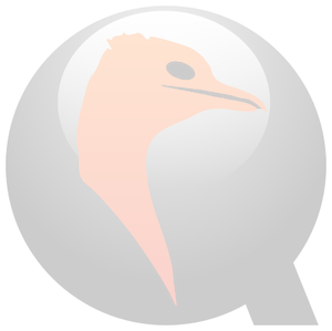 Post: Emulating Systems in Qemu